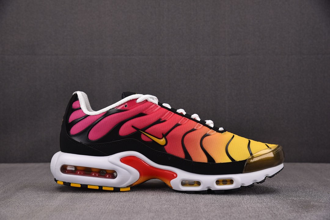 Nike Air Max Plus OG DX0755-600