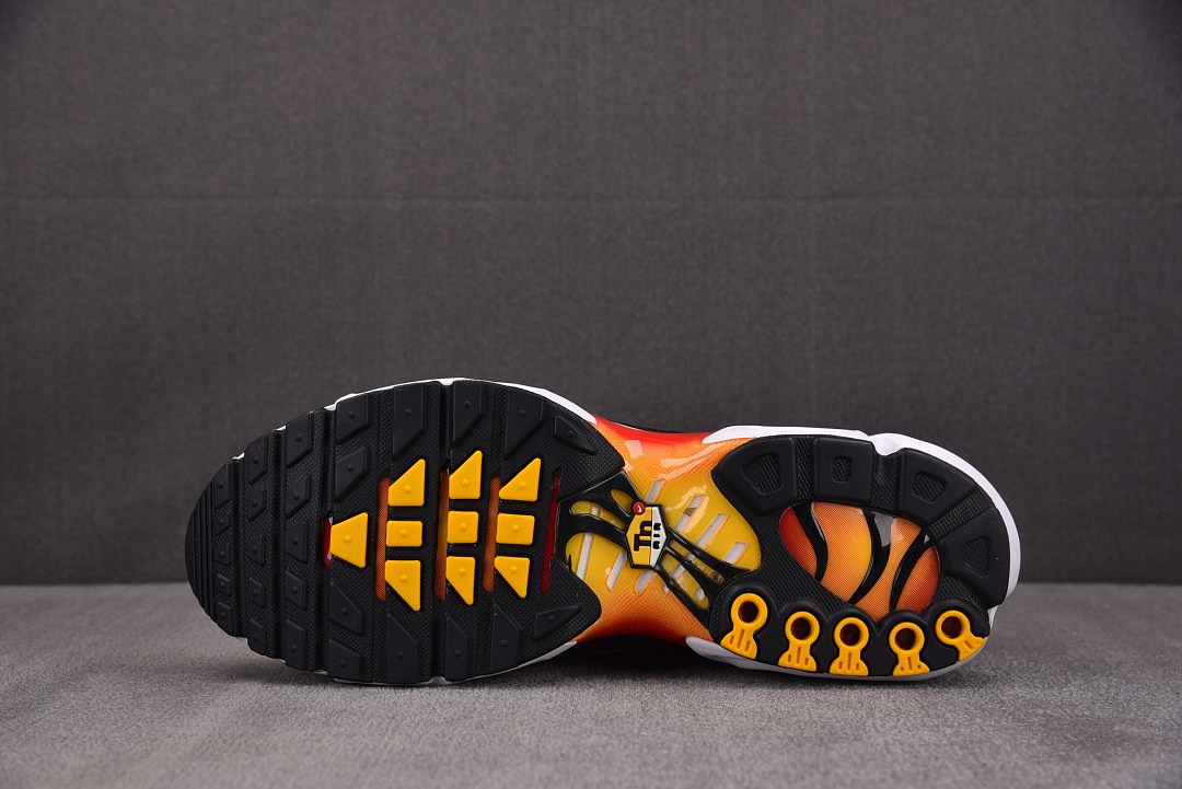 Nike Air Max Plus OG DX0755-600