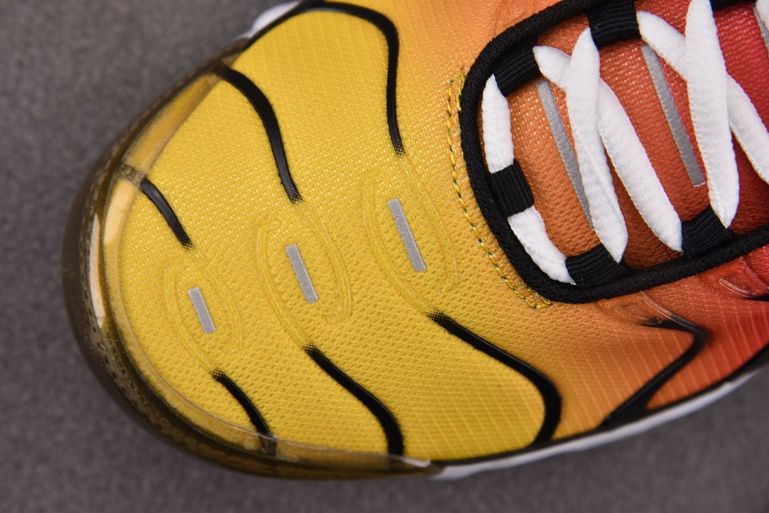 Nike Air Max Plus OG DX0755-600