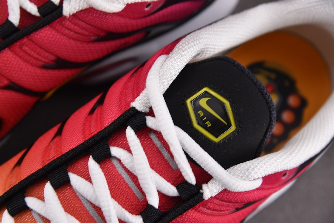 Nike Air Max Plus OG DX0755-600