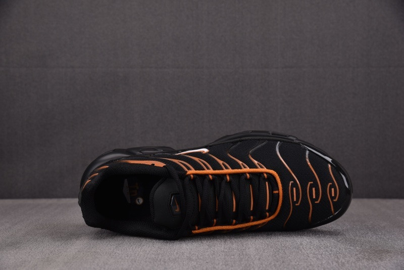 Nike Air Max Plus Dark Obsidian Monarch FN6949-400