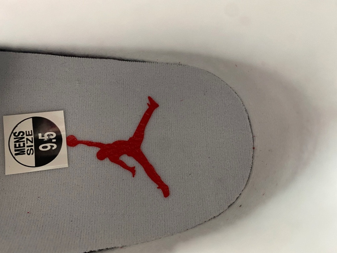 Air Jordan 4 FV5029-600