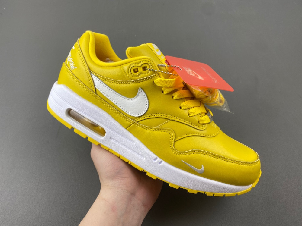 Nike Air Max 1