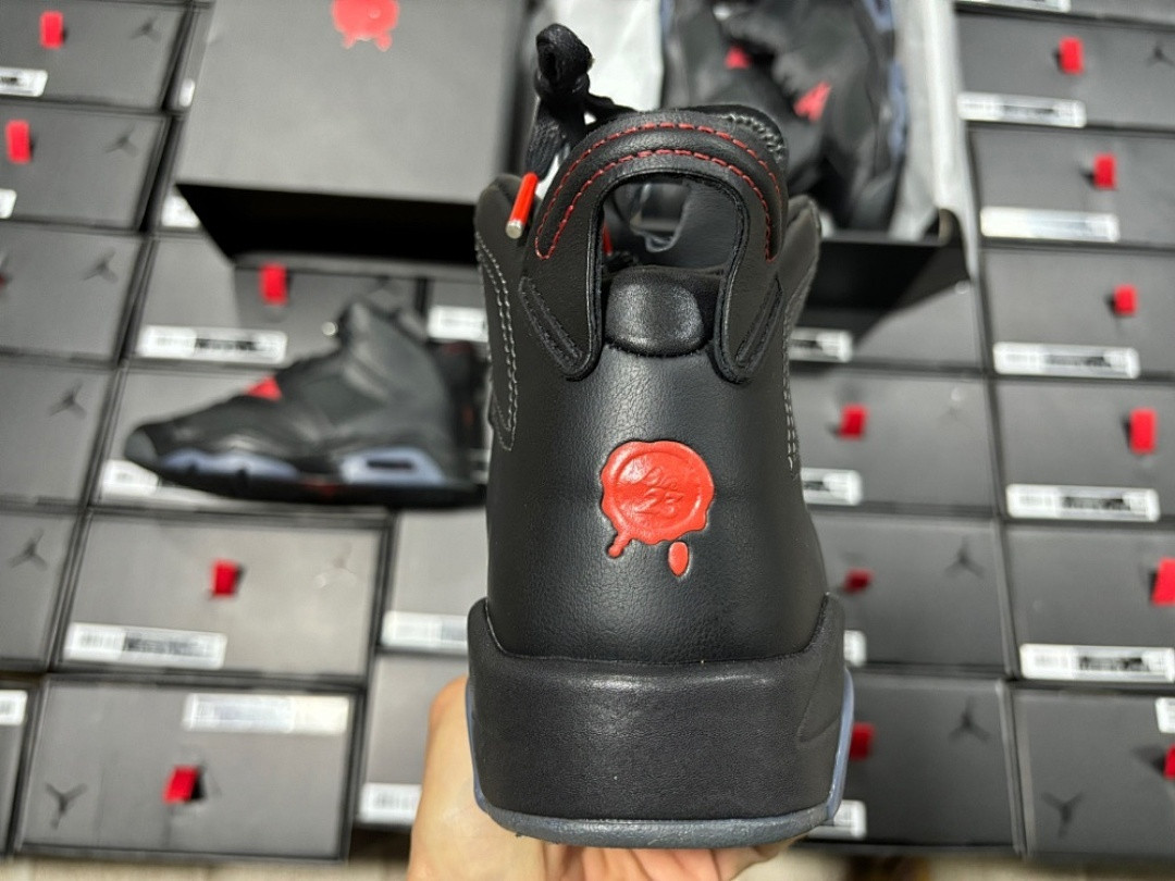 Air Jordan 6 Retro Premio 