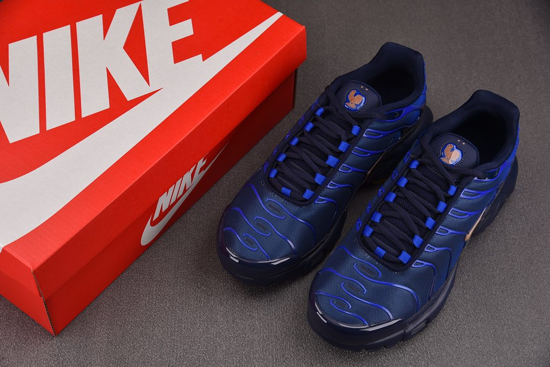 Nike Air Max Plus "French Football Federation" IQ0170-400