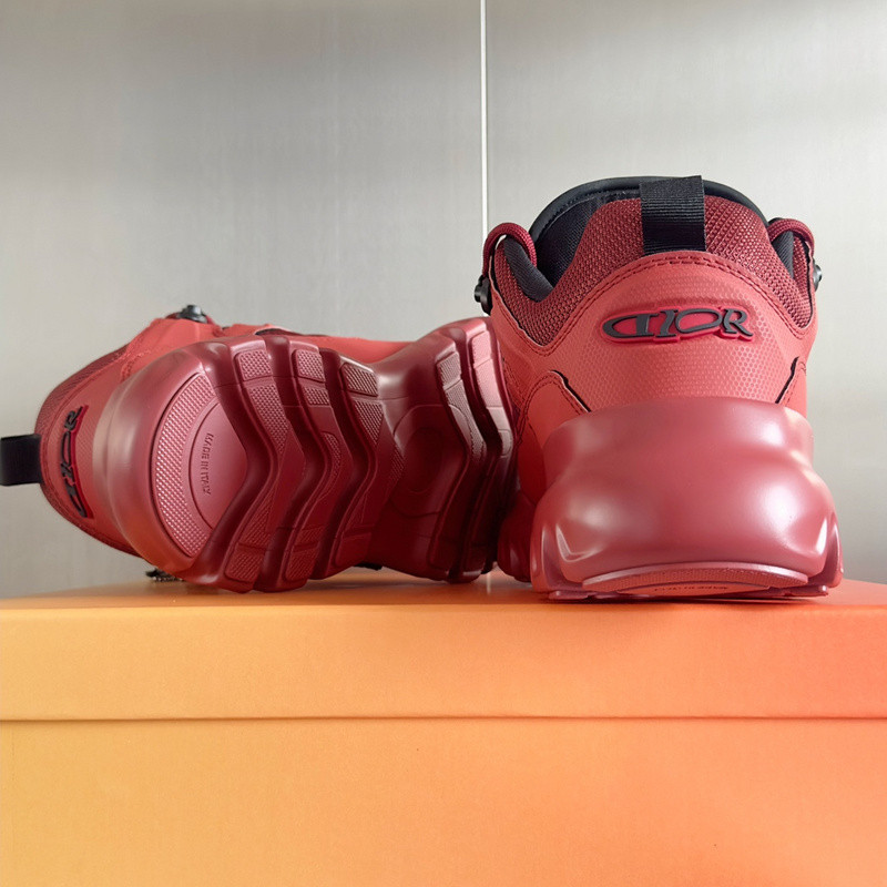Dior Snow Derby