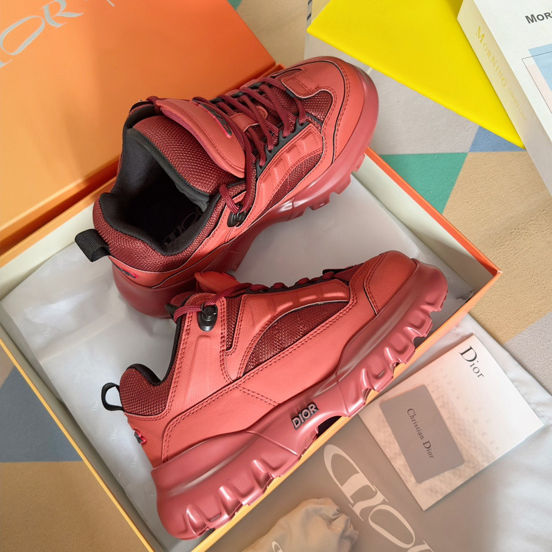 Dior Snow Derby