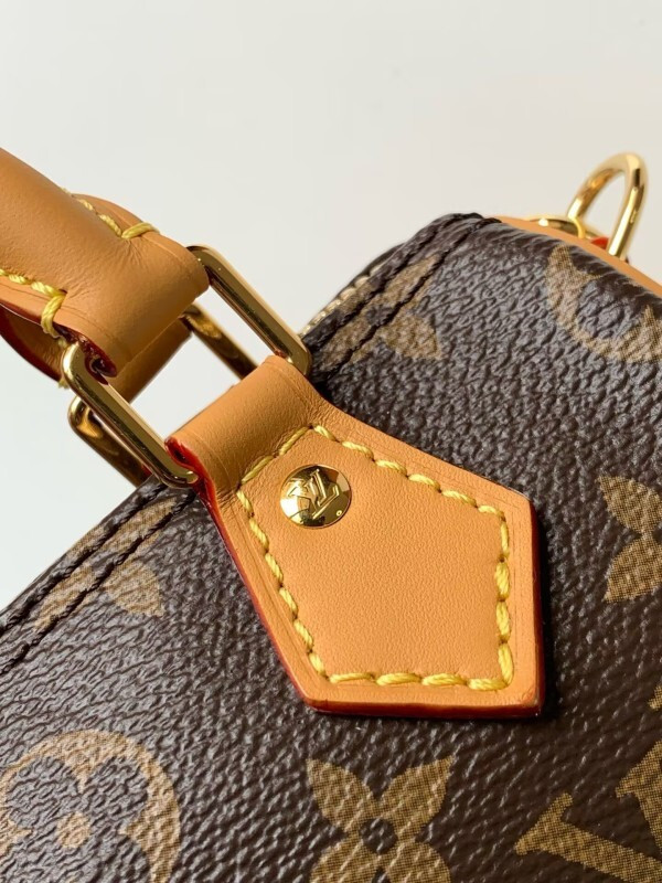 LOUIS VUITTON NANO SPEEDY