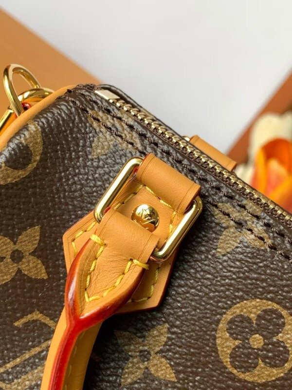 LOUIS VUITTON NANO SPEEDY