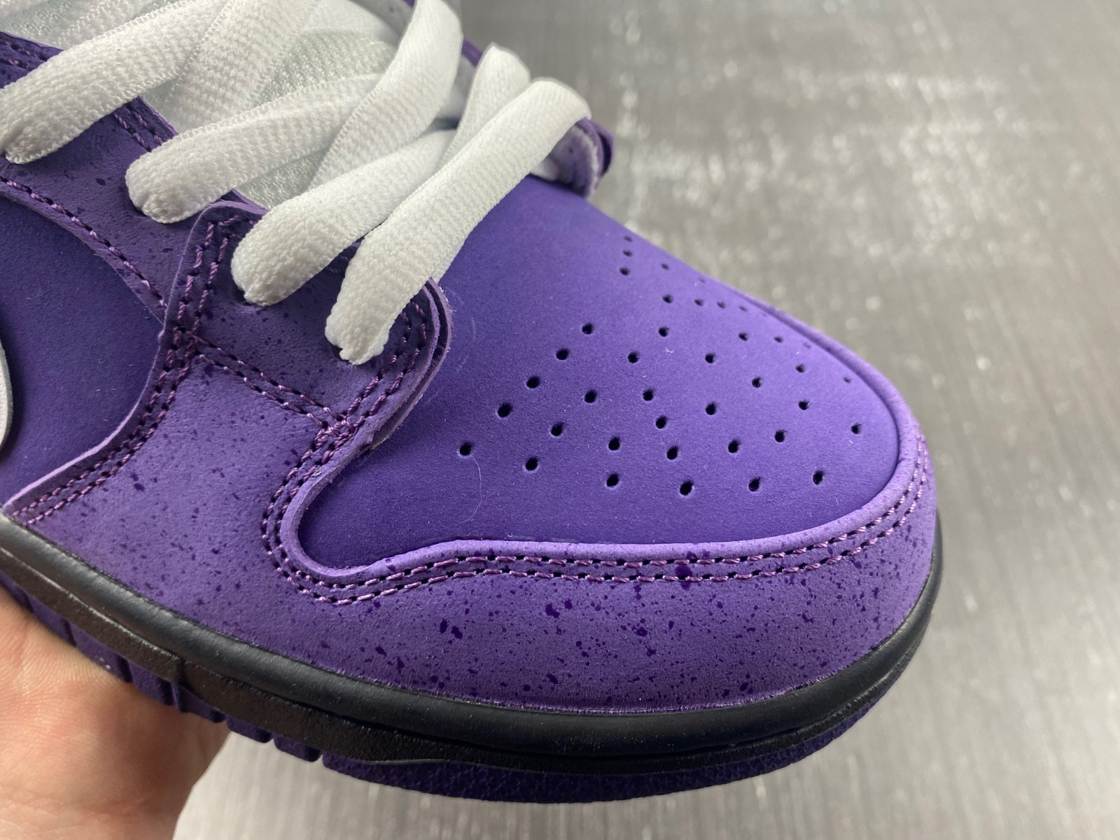NIKE SB DUNK LOW CONCEPTS PURPLE LOBSTER BV1310-555