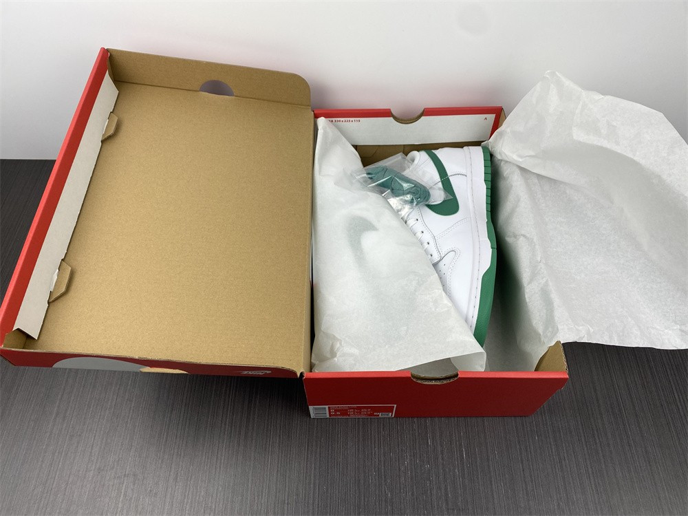 Nike Dunk Low White Green Noise (W) DD1503-112