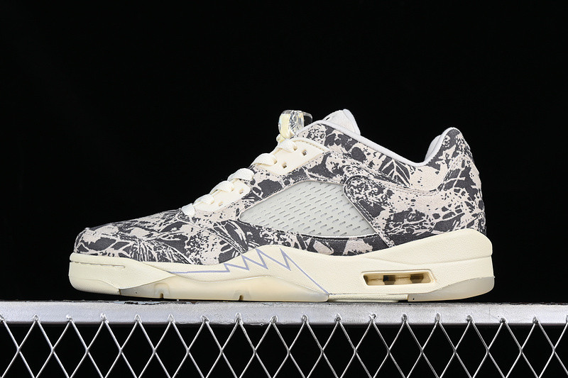 Air Jordan 5 Low "Expression" DA8016-100