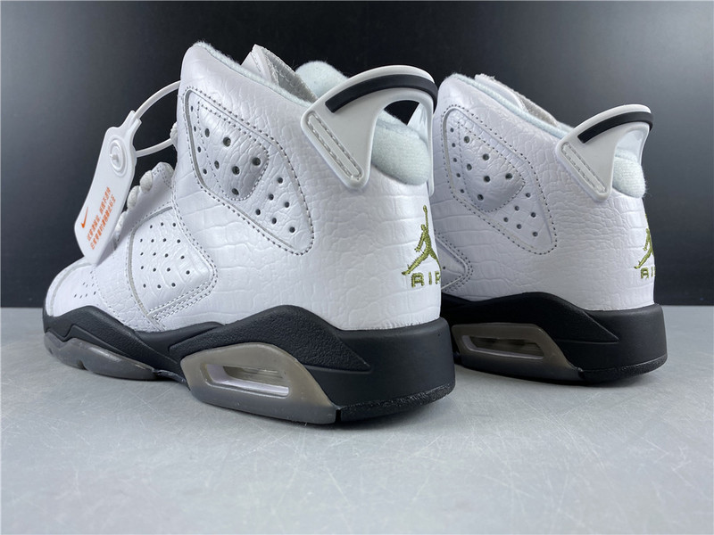 Air Jordan 6 GS Alligator 384665-110