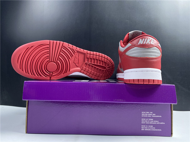 NIKE DUNK LOW UNIV DD1391-002