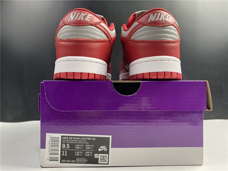 NIKE DUNK LOW UNIV DD1391-002