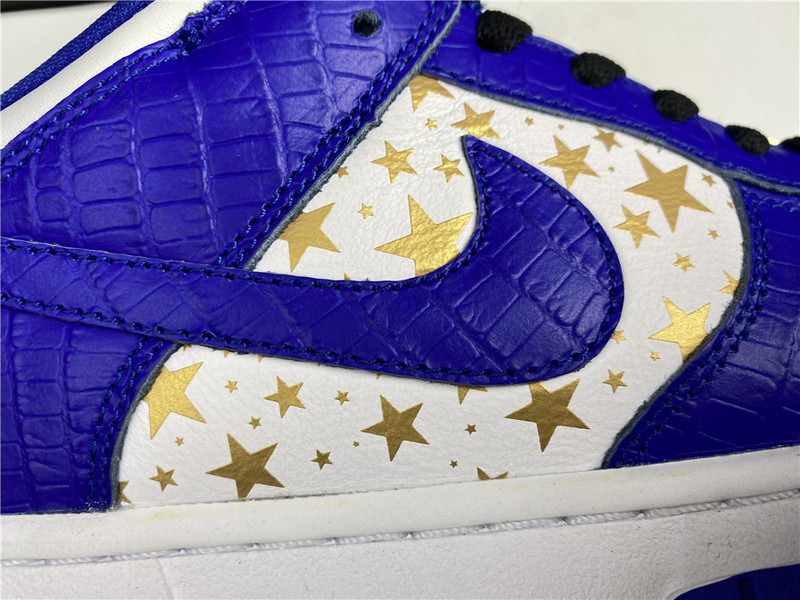 Nike SB Dunk Low DH3228-100