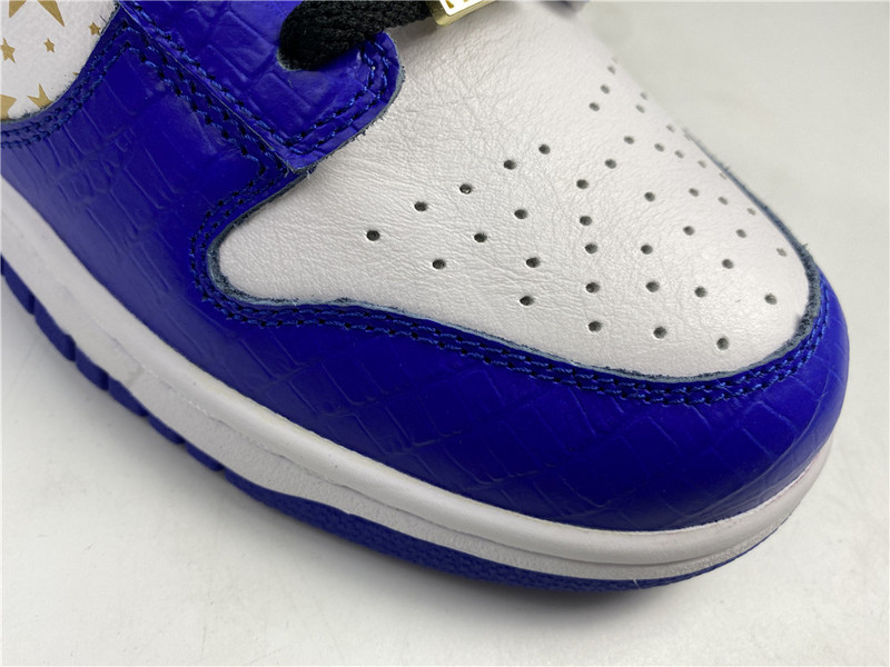 Nike SB Dunk Low DH3228-100