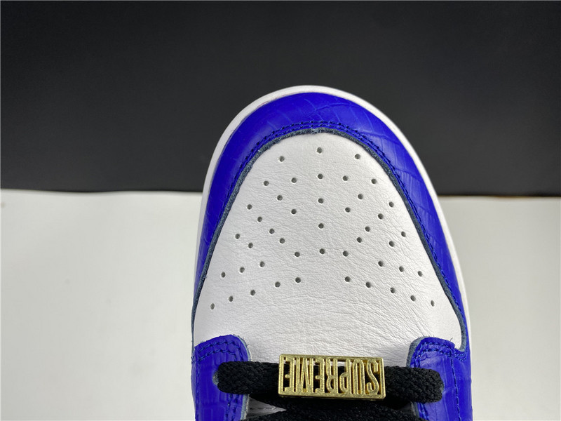 Nike SB Dunk Low DH3228-100