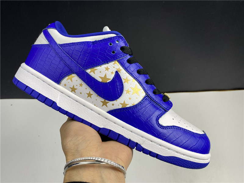 Nike SB Dunk Low DH3228-100