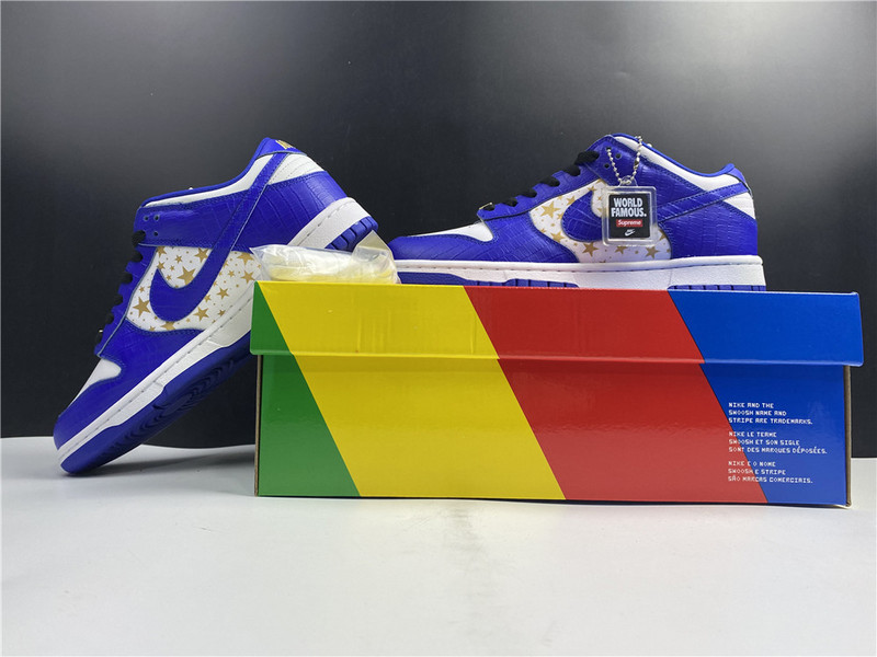Nike SB Dunk Low DH3228-100