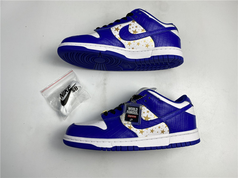 Nike SB Dunk Low DH3228-100