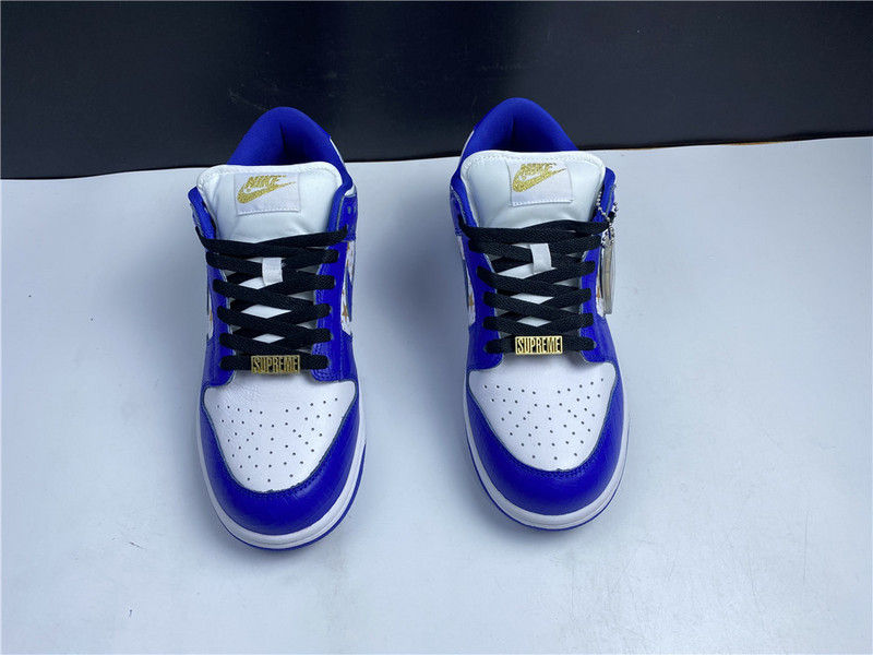 Nike SB Dunk Low DH3228-100